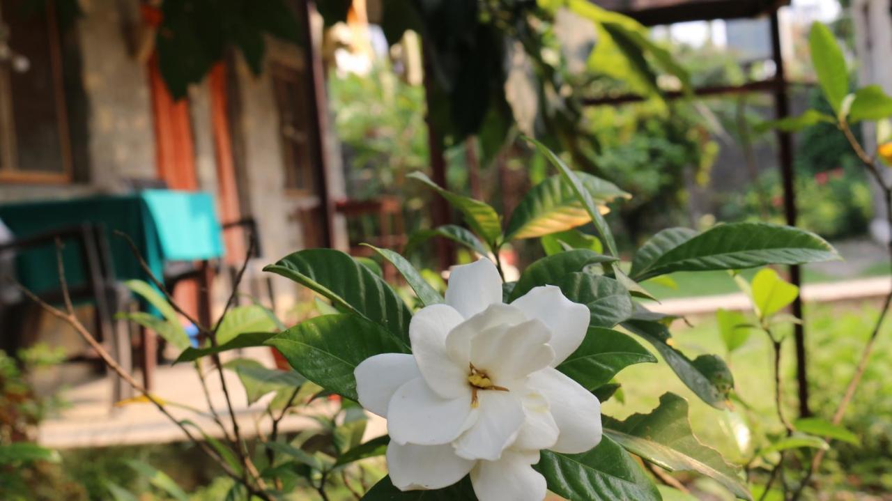Gurkha Lodge Pokhara Exterior foto